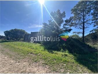 https://www.gallito.com.uy/venta-de-campo-en-camino-garces-y-ruta-1-inmuebles-26000406