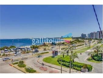 https://www.gallito.com.uy/apartamento-playa-mansa-inmuebles-22935455