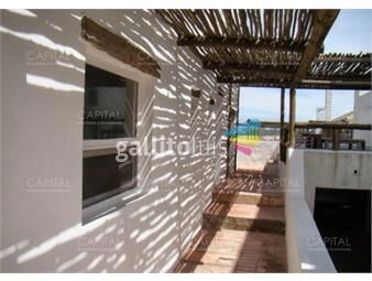 https://www.gallito.com.uy/departamento-de-la-ruta-al-mar-a-pasos-de-la-posta-del-cang-inmuebles-26004378