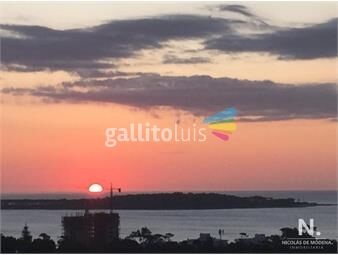 https://www.gallito.com.uy/apartamento-de-2-dormitorios-en-torre-amadeus-con-vista-mar-inmuebles-25041370