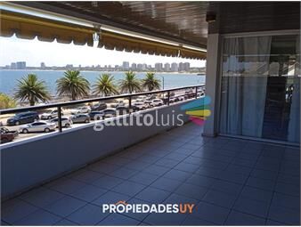 https://www.gallito.com.uy/primera-linea-del-puerto-venta-dpto-3-duites-inmuebles-21324453