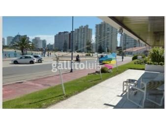 https://www.gallito.com.uy/apartamento-peninsula-inmuebles-22672376