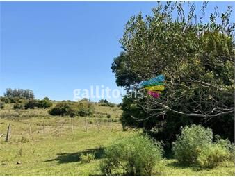 https://www.gallito.com.uy/campo-en-pueblo-eden-inmuebles-24852148