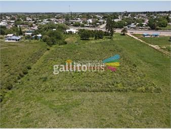 https://www.gallito.com.uy/terreno-de-8000-m2-en-progreso-ideal-fraccionamiento-inmuebles-24631353