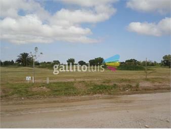 https://www.gallito.com.uy/real-de-san-carlos-village-&-golf-lote-10-inmuebles-21177362