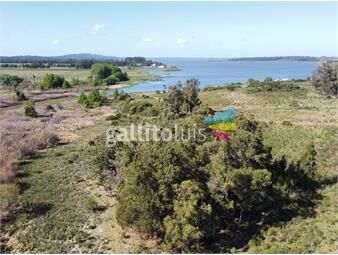 https://www.gallito.com.uy/chacra-17-ha-costa-vistas-laguna-del-sauce-punta-del-este-inmuebles-25631056