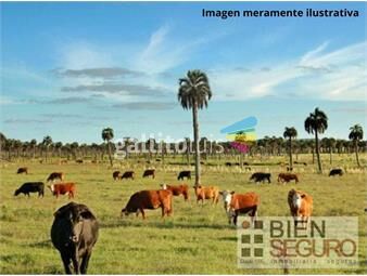 https://www.gallito.com.uy/ideal-inversor-campo-ganadero-124-5-has-proximo-19-ruta1-inmuebles-25455146