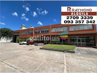 https://www.gallito.com.uy/polo-logistico-4000m2-local-industrial-deposito-galpon-inmuebles-25706245