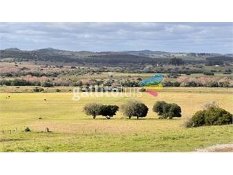 https://www.gallito.com.uy/campo-57-has-agricola-ganadero-cerca-de-minas-muy-bueno-inmuebles-25703623