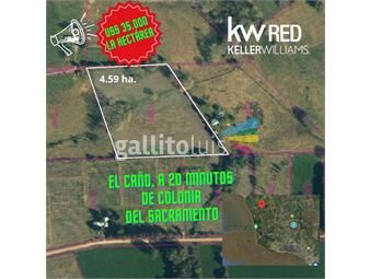 https://www.gallito.com.uy/venta-chacra-zona-de-gran-potencial-4-hectareas-inmuebles-26027036