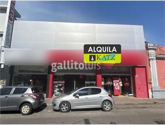 https://www.gallito.com.uy/local-gran-local-comercial-en-ituzaingo-casi-peatonal-sar-inmuebles-26029746