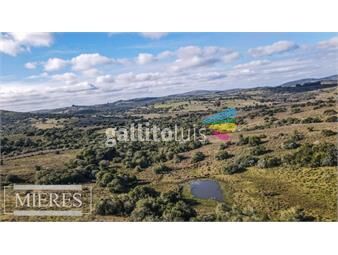 https://www.gallito.com.uy/chacras-de-5-ha-en-las-sierras-de-pueblo-eden-inmuebles-25868386