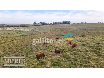 https://www.gallito.com.uy/campo-de-140ha-en-jose-ignacio-maldonado-inmuebles-25549796