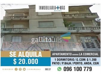 https://www.gallito.com.uy/apartamento-alquiler-1-dormitorio-en-la-comercial-imasuy-inmuebles-26023111