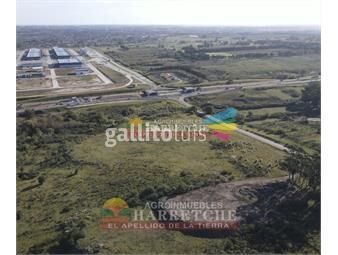 https://www.gallito.com.uy/terreno-logistico-sobre-ruta-5-inmuebles-25433952