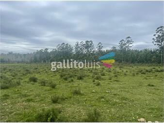 https://www.gallito.com.uy/venta-de-chacra-o-campo-en-paysandu-inmuebles-26039929