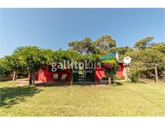 https://www.gallito.com.uy/casas-alquiler-temporal-punta-colorada-776-inmuebles-26041541