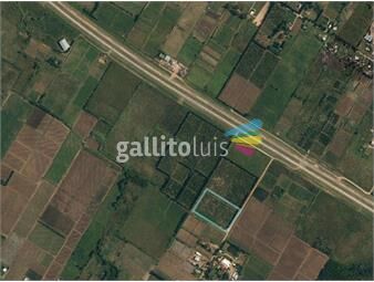 https://www.gallito.com.uy/campo-en-venta-sobre-cno-garces-proximo-a-ruta-1-gral-man-inmuebles-26032910