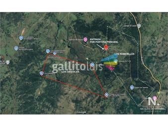 https://www.gallito.com.uy/vende-campo-en-las-cercanias-de-aigua-inmuebles-26046659