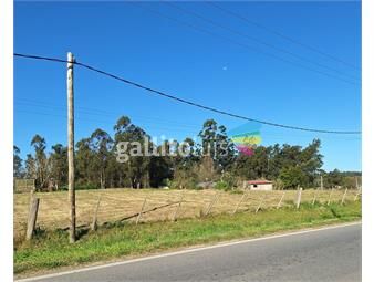 https://www.gallito.com.uy/alquiler-de-terreno-5500m²-sobre-ruta-34-km-40-inmuebles-26052295