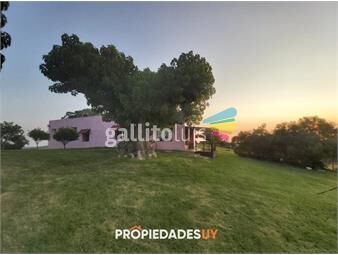 https://www.gallito.com.uy/venta-de-establecimiento-de-266-has-en-paraje-sierras-de-c-inmuebles-24008208