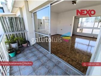 https://www.gallito.com.uy/alquiler-apartamento-pocitos-mono-muy-grande-calefaccion-inmuebles-26062795