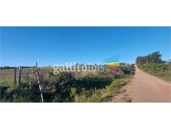 https://www.gallito.com.uy/campo-de-48-has-en-venta-en-paraje-garzon-inmuebles-26070002