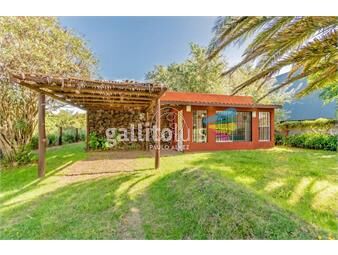 https://www.gallito.com.uy/casas-alquiler-temporal-san-francisco-003-inmuebles-26070034