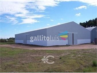 https://www.gallito.com.uy/galpon-logistico-en-ruta-101-ref-3956-inmuebles-26059154