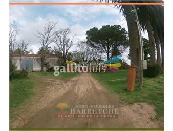 https://www.gallito.com.uy/chacra-de-7000-m2-sobre-ruta-en-los-cerrillos-varias-const-inmuebles-22126616