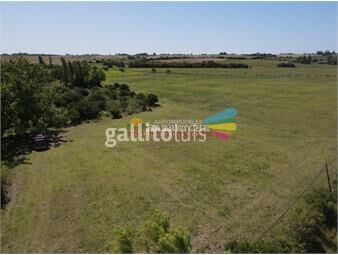 https://www.gallito.com.uy/chacra-en-venta-12-hectareas-monte-arroyo-alambrados-ex-inmuebles-24956998