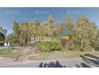 https://www.gallito.com.uy/venta-terreno-950m-en-burnett-maldonado-ideal-para-inve-inmuebles-26070652