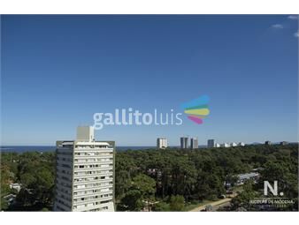 https://www.gallito.com.uy/departamento-a-estrenar-con-agradable-vista-inmuebles-25034870