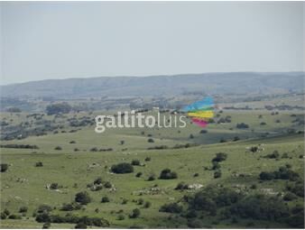 https://www.gallito.com.uy/campo-en-venta-inmuebles-23397362