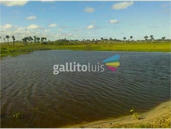 https://www.gallito.com.uy/campo-en-venta-inmuebles-23397359