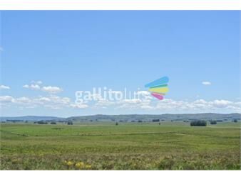 https://www.gallito.com.uy/campo-en-venta-inmuebles-23397342