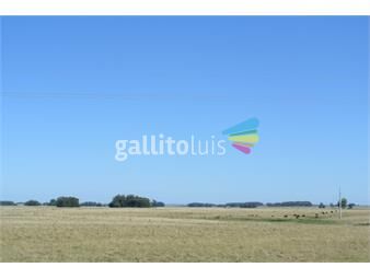 https://www.gallito.com.uy/campo-en-venta-inmuebles-21758996