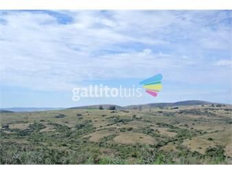 https://www.gallito.com.uy/campo-en-venta-inmuebles-21832100