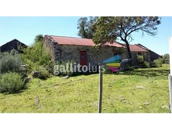 https://www.gallito.com.uy/mieres-vende-campo-ganadero-criador-de-69-4-has-r-109-inmuebles-18683701