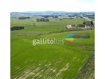 https://www.gallito.com.uy/-campo-en-venta-ruta-12-km-14-inmuebles-23397330