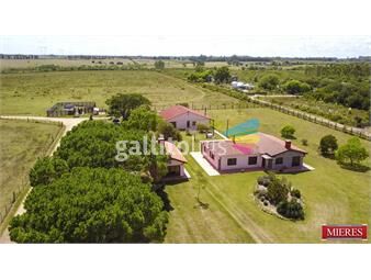 https://www.gallito.com.uy/campo-en-venta-en-punta-del-este-inmuebles-23397321