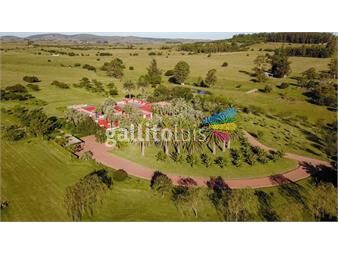 https://www.gallito.com.uy/campo-en-venta-ruta-12-pueblo-eden-inmuebles-18683743