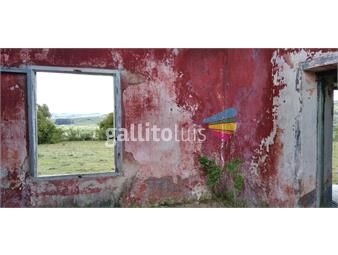 https://www.gallito.com.uy/campo-ganadero-en-venta-maldonado-inmuebles-20910969