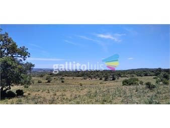 https://www.gallito.com.uy/campo-ganadero-criador-aigua-inmuebles-18714018