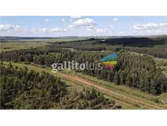 https://www.gallito.com.uy/campo-en-venta-en-lavalleja-forestal-inmuebles-20910953