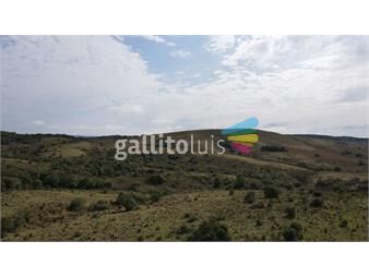 https://www.gallito.com.uy/campo-en-rocha-78ha-inmuebles-22462798