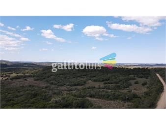 https://www.gallito.com.uy/campo-en-rocha-de-137ha-inmuebles-22614472