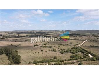 https://www.gallito.com.uy/campo-de-50-ha-ganadero-en-maldonado-garzon-inmuebles-22667958