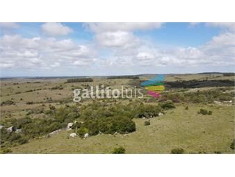 https://www.gallito.com.uy/campo-en-venta-60-ha-en-garzon-ref-6619-inmuebles-22879622