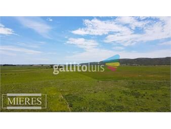 https://www.gallito.com.uy/campo-agricola-ganadero-110ha-maldonado-inmuebles-22925344